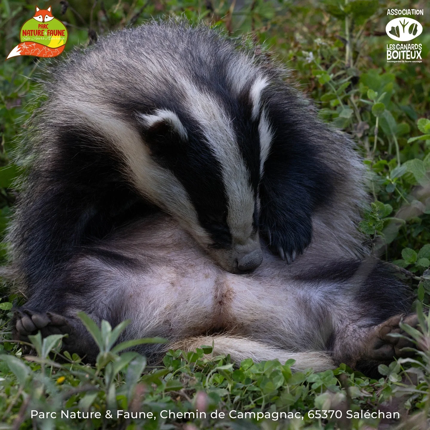 CâEST LES VACANCES ! Venez dĂ©couvrir le Parc Nature & Faune â image 3