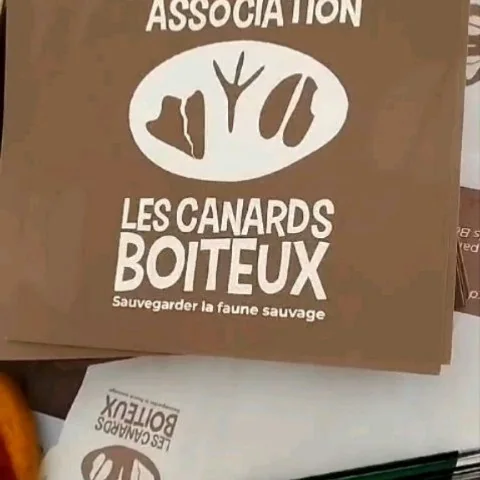 Samedi 25 janvier, l'équipe des Canards Boiteux était aux Hivernales organisée par la @mne_65 à…