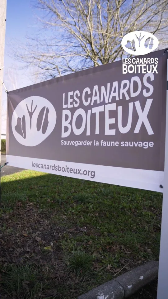 L'Assemblée Constitutive a eu lieu ! L'aventure Les Canards Boiteux est officiellement lancée