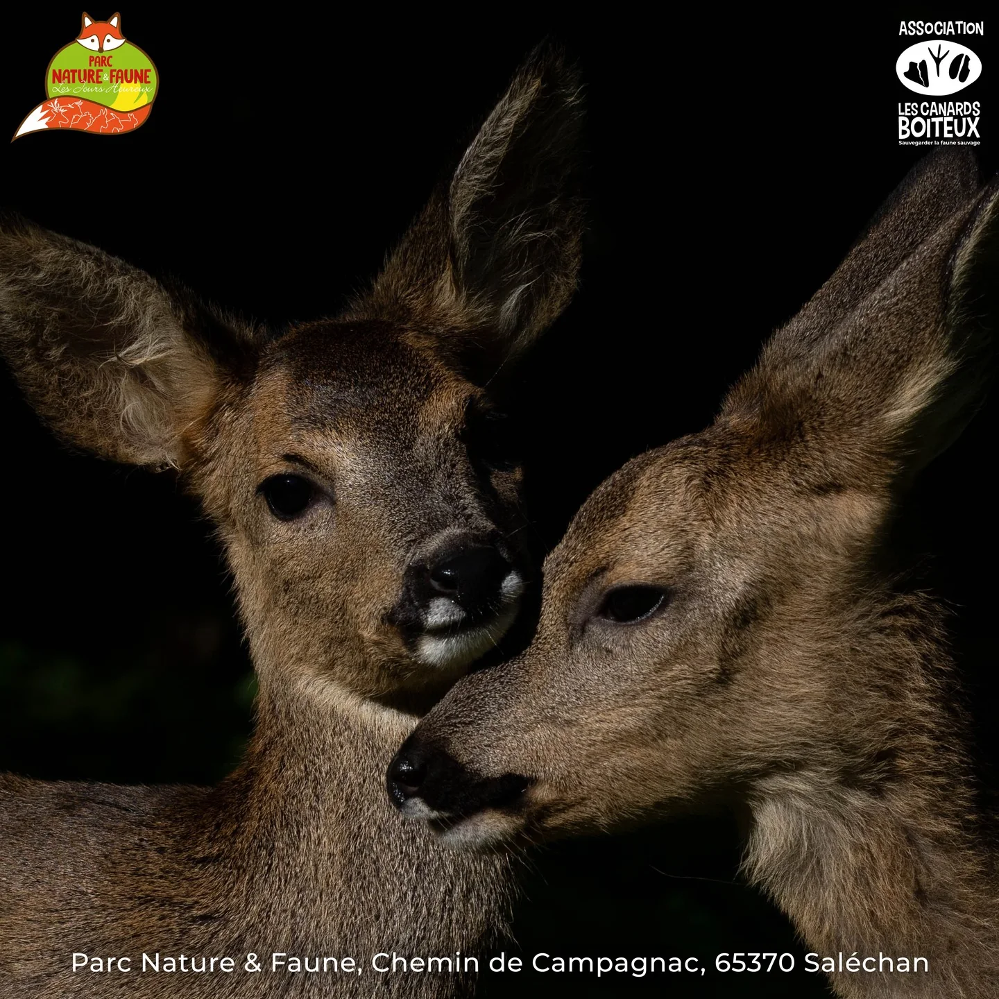 CâEST LES VACANCES ! Venez dĂ©couvrir le Parc Nature & Faune â image 7