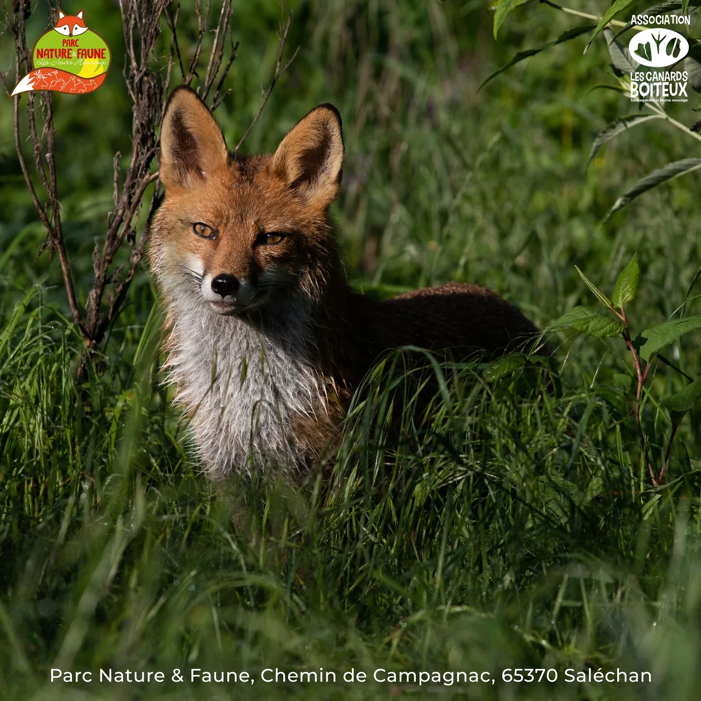 CâEST LES VACANCES ! Venez dĂ©couvrir le Parc Nature & Faune â image 4