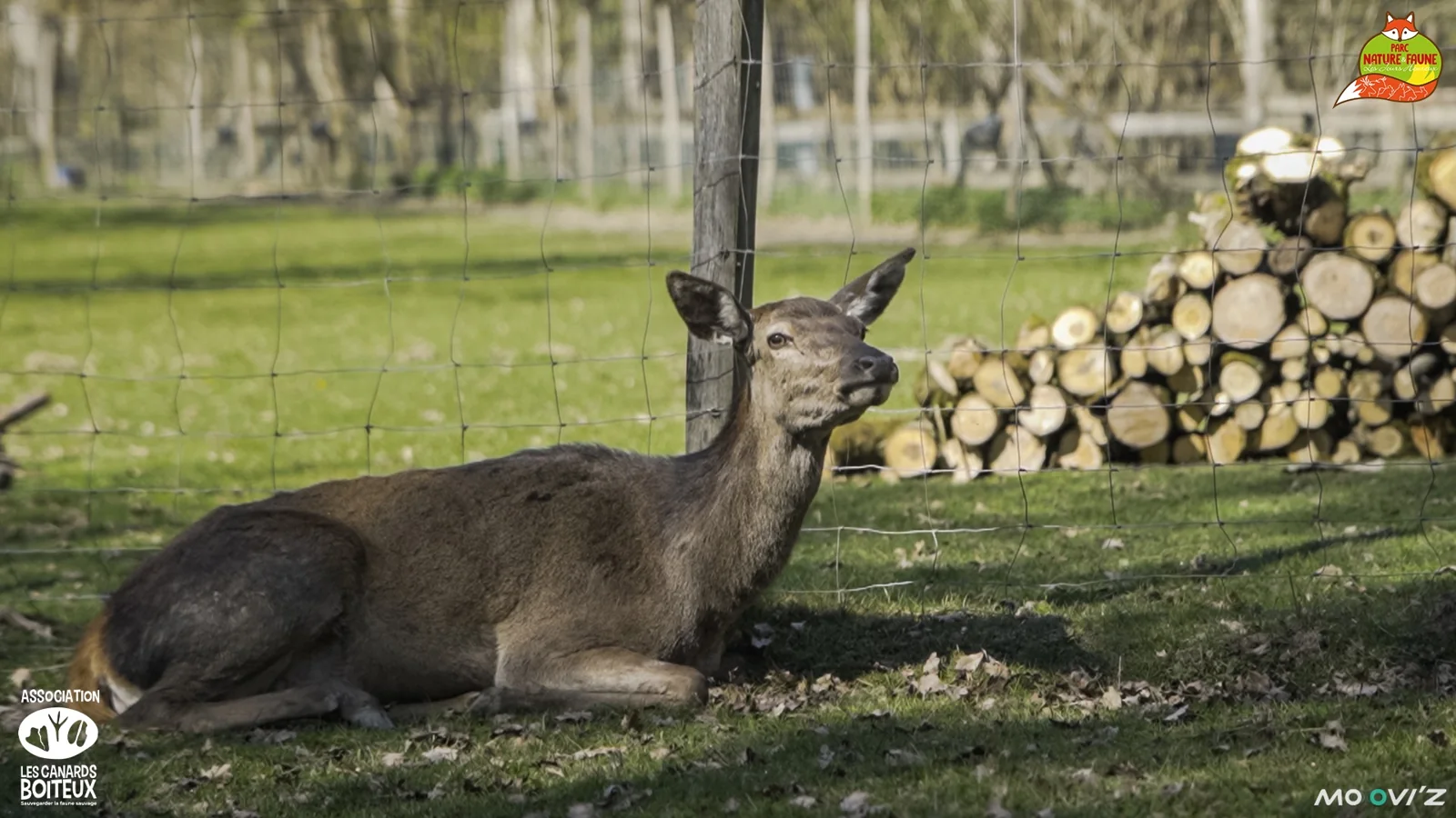 Retour en images sur notre journée adhérents au Parc Nature & Faune — image 7