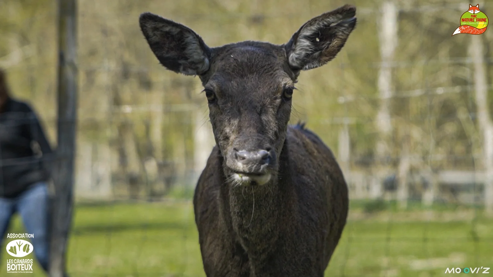 Retour en images sur notre journée adhérents au Parc Nature & Faune — image 8
