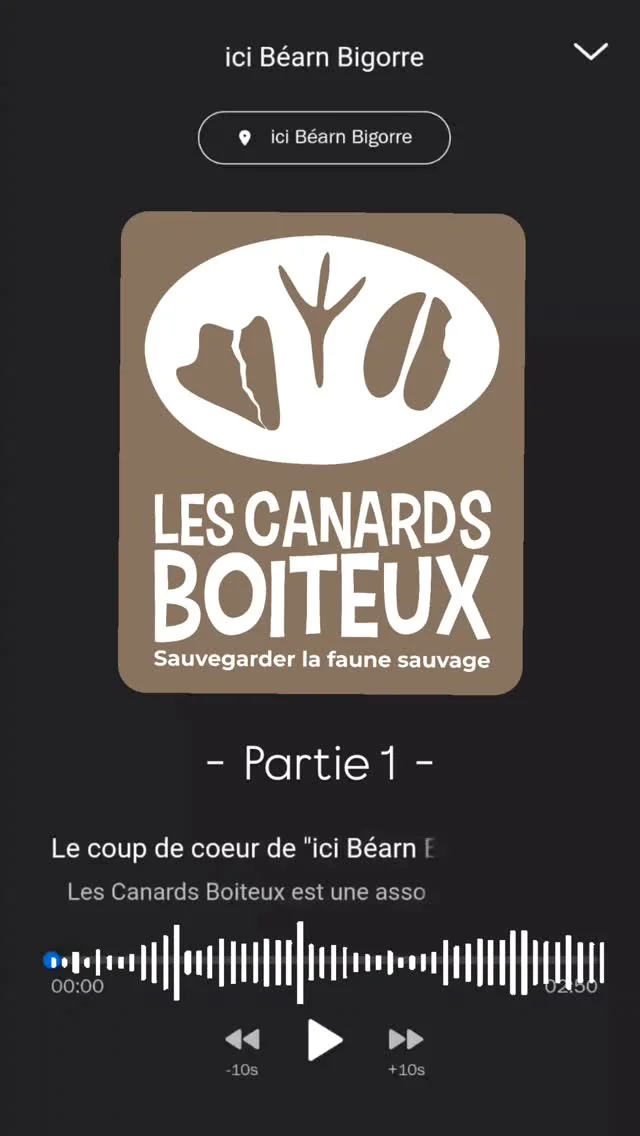 icibearnbigorre x Les Canards Boiteux
