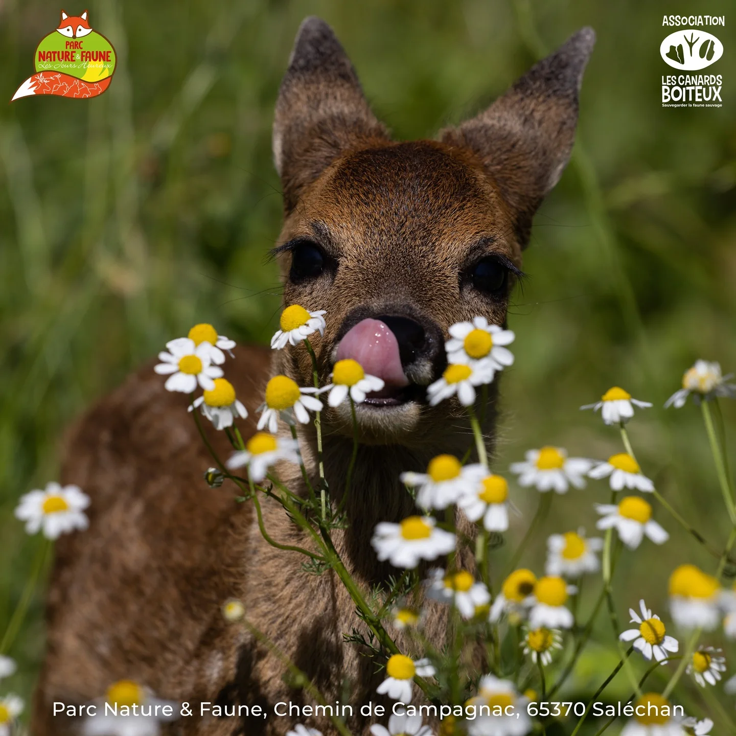 CâEST LES VACANCES ! Venez dĂ©couvrir le Parc Nature & Faune