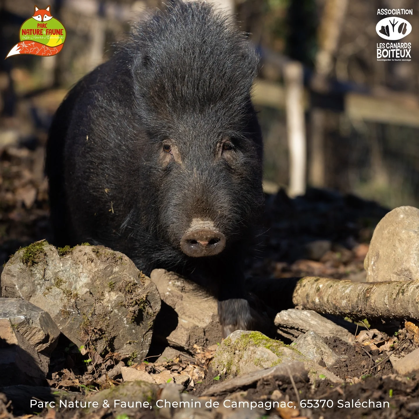 CâEST LES VACANCES ! Venez dĂ©couvrir le Parc Nature & Faune â image 8