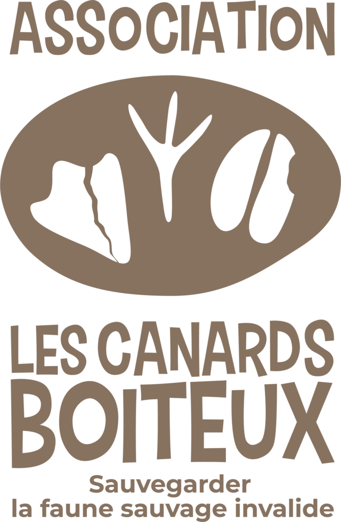 Association Les Canards Boiteux — sauvegarder la faune sauvage invalide