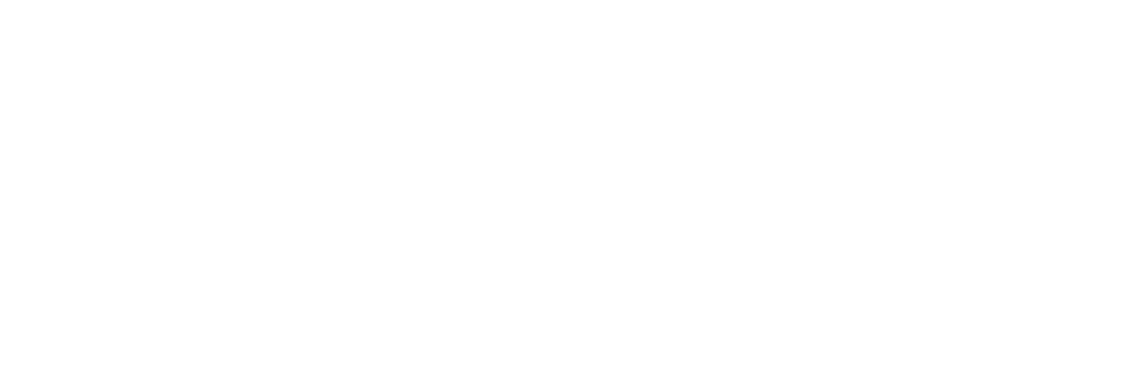 Association Les Canards Boiteux