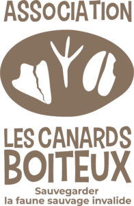 Association Les Canards Boiteux — sauvegarder la faune sauvage invalide