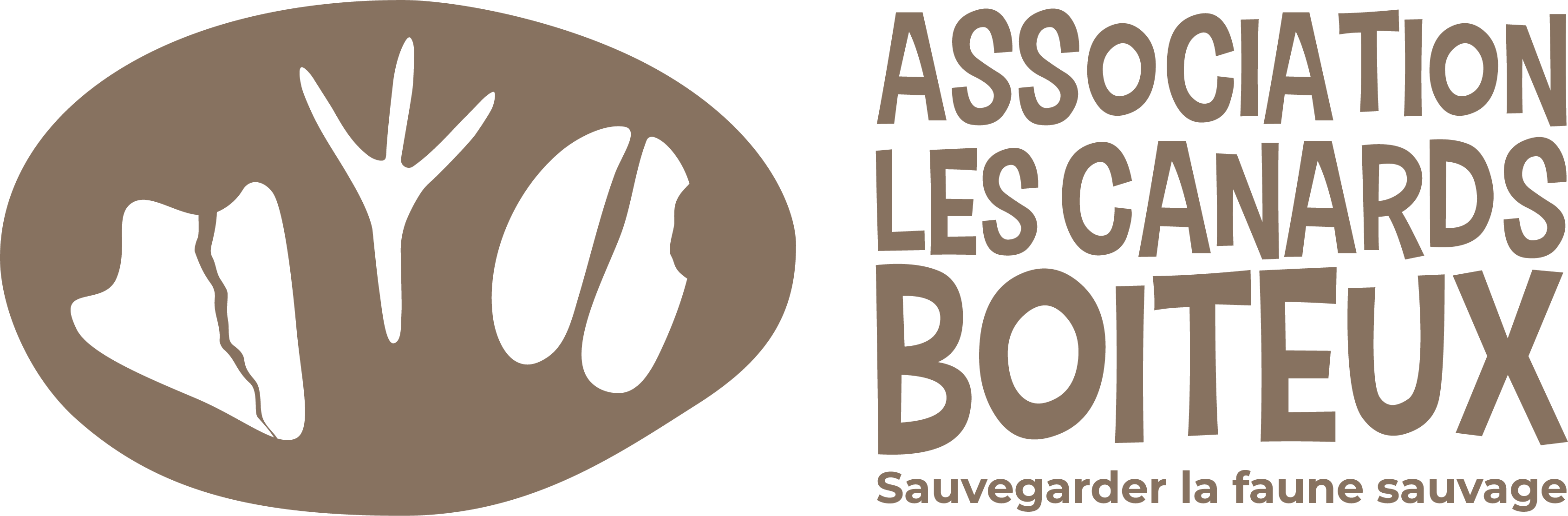Association Les Canards Boiteux